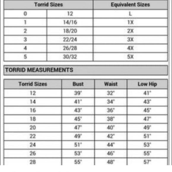 Torrid Mesh Floral Black Dress Scallop Trim Sleeves Size 2 18/20 - Picture 14 of 14